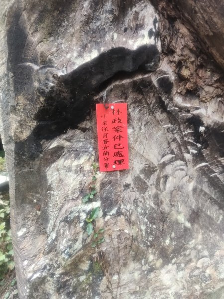 1150728茂興懷舊步道3097225