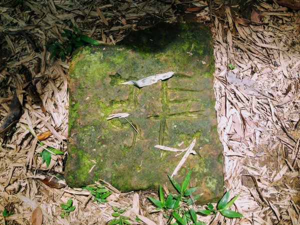 淡蘭古道中路【崩山坑-石空段】640669