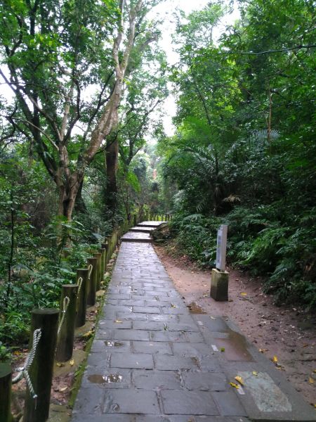 圓覺寺步道106130