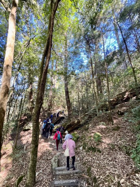 漫遊大雪山森林 訪尋雪山大小神木 快閃天池2922771