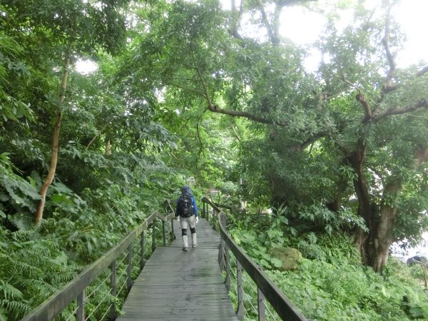 芝山岩步道132983