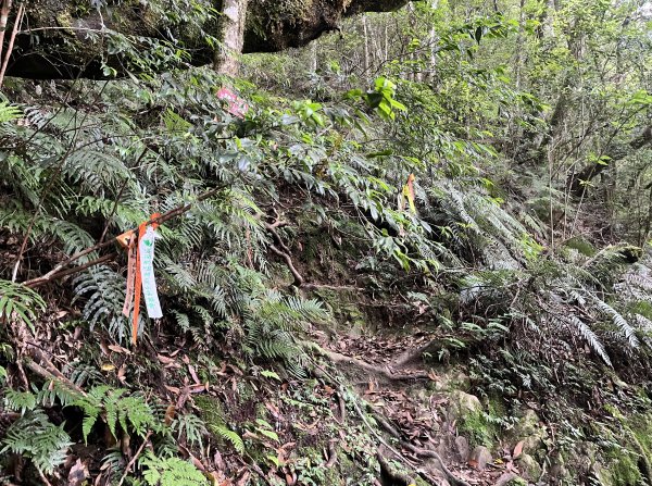 2025_0622 霞喀羅大山2819197