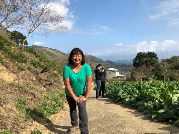 驚驚車程的九份二山之賞梅趣503686