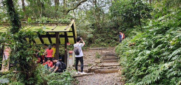 2022-03-12三角崙山登山步道1637874