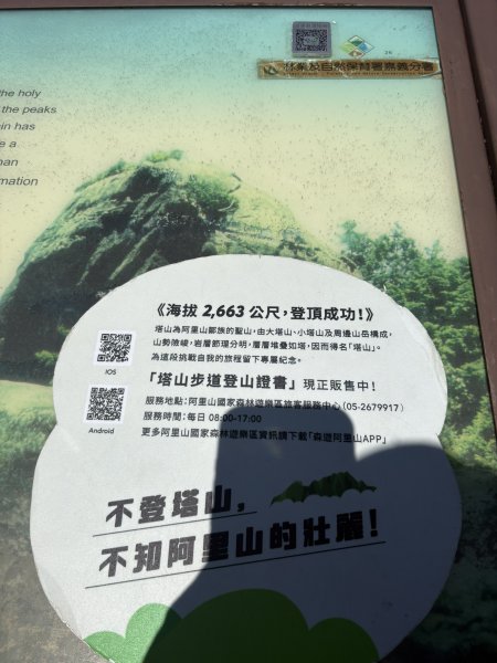 20251225塔山步道(大塔山)2970427