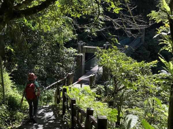 竹坑溪步道 202506282827148