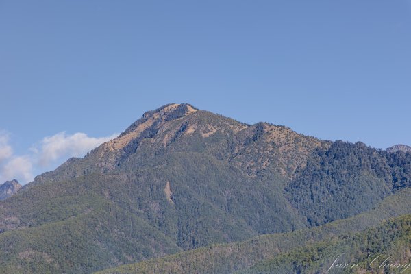 福壽山千櫻園櫻花季初開2717407