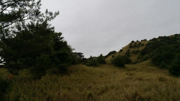 大霸群峰 107.10.19~21455087
