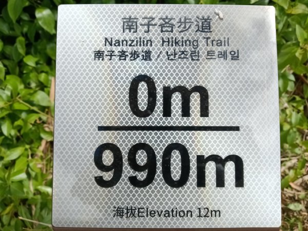 瑞芳區南子吝山+南子吝山稜(黃金七稜)+保羅尖8字走2873665