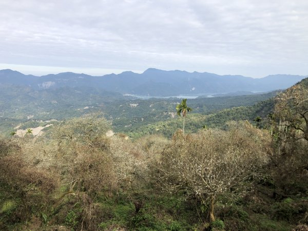 梅嶺伍龍步道走獵鷹尖一線天 難山 竹子尖山 梅峰1571900