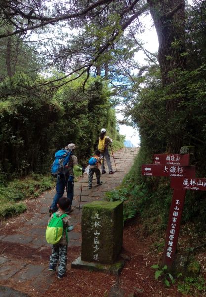 帶著孩子去爬山~麟趾山398296