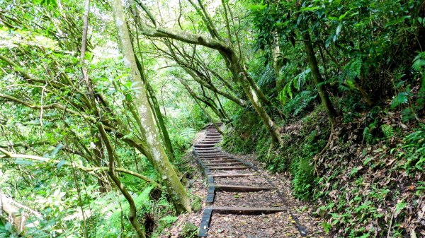 環七星山步道2837885