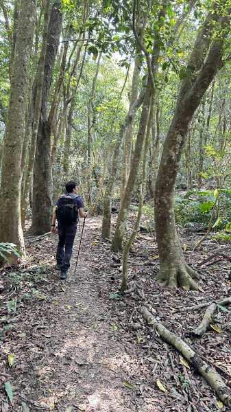 崩潰陡上的水雲三星～鳥嘴山（上島山）2095285