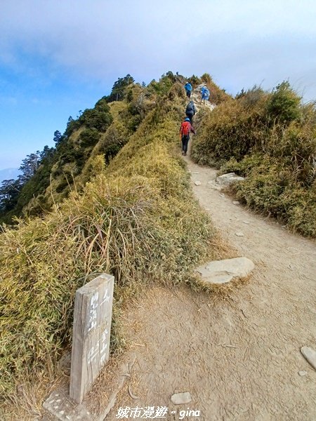 【高雄桃源】朝聖壯闊山景之南橫三星。 編號77百岳~關山嶺山2089032