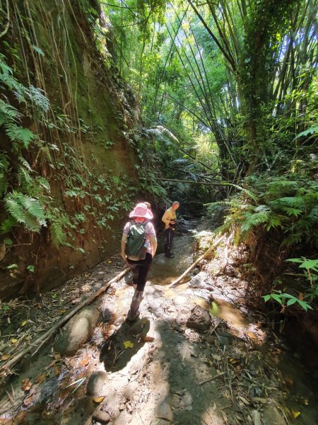 【苗栗】龍王峽谷秘境1777788