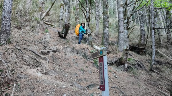 中央尖山四天20260412~153037963