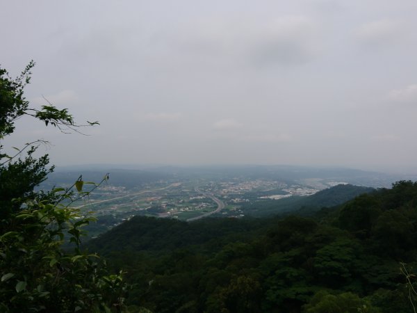 三員縱走(雙峰山)(三義→銅鑼)592297