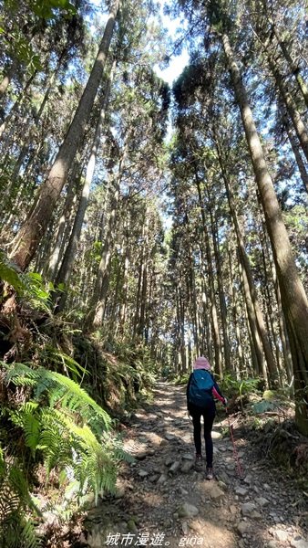 【新竹。五峰】  悠遊山林。 小百岳集起來。 編號31小百岳~鵝公髻山步道x山上人家1652462