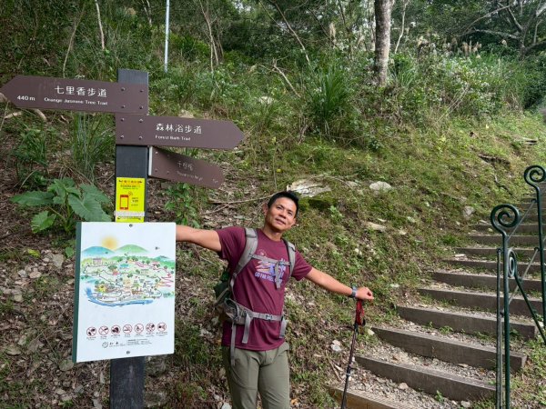 知本森林遊樂區2981291