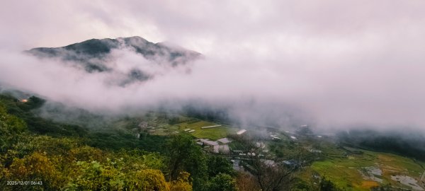 #陽明山 趴趴走12/12950341