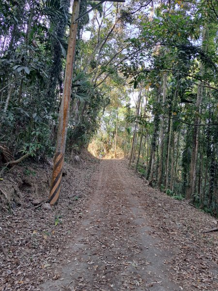 竹山八通關古道社寮段+陳東坑山+溪洲大山ｄ型走202302192037481