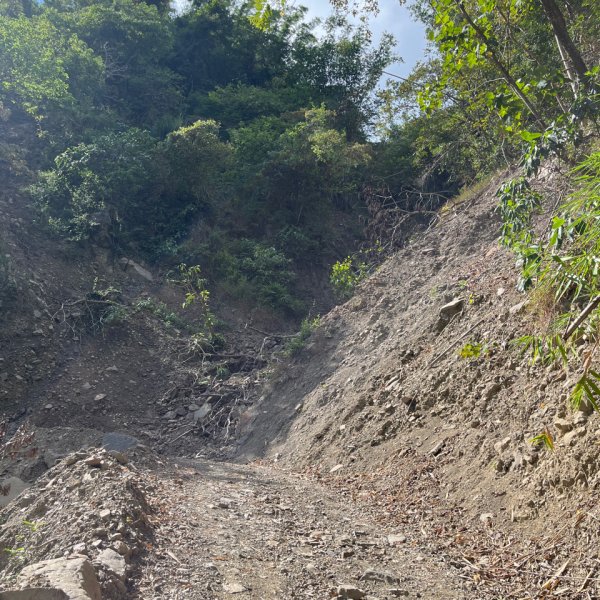 20251115_白雲山（高雄小百岳）2941523