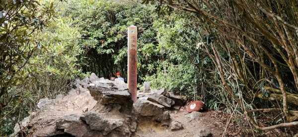 波津加山，太平蝙蝠洞延伸步道，福田賞桐生態步道，美崙山步道，台東鯉魚山2005061