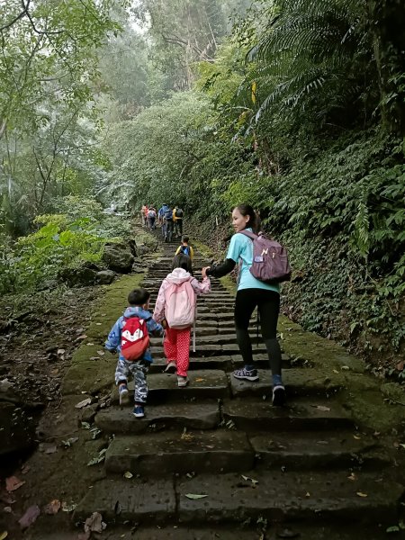 〽️11/17(日)南庄獅頭山🦁(小百岳)~九九步道O型⛰️順遊南庄老街2649537