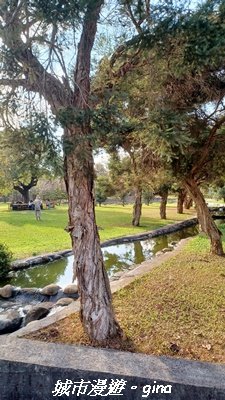 【南投名間】欣美創意園區~落羽松2968343