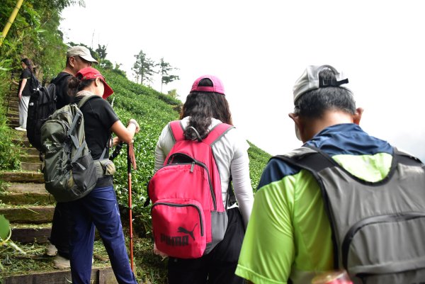 20260805阿里山石棹大凍山攀登3097064