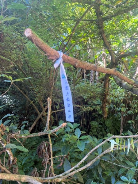 2025-08-30 豎旗山西北稜上-豎旗山-烏山古道西段下2874116