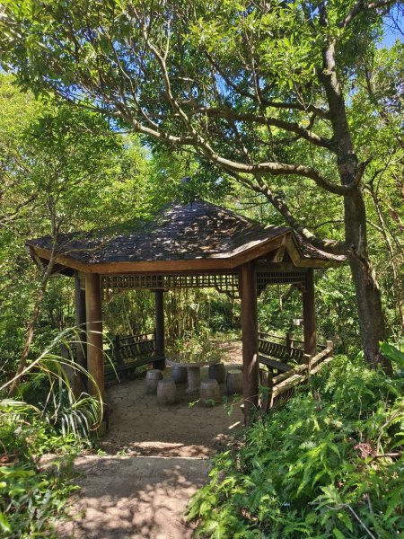 新北市-土庫岳3112156