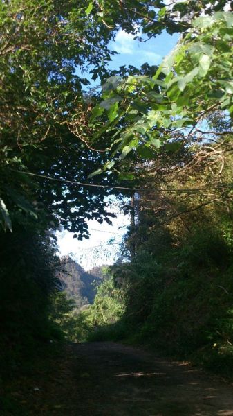 忠勇山親山步道112615