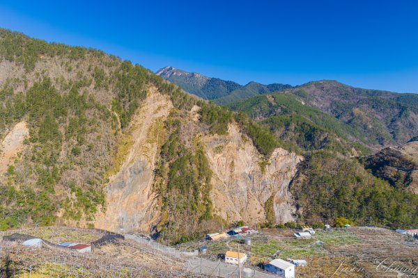 福壽山千櫻園櫻花盛開2724922