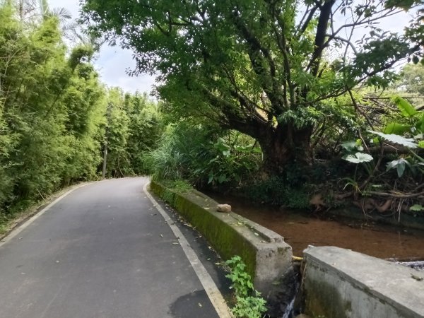 三芝區龜子山橋-三板橋-大屯溪古道(殘念)去回3090809