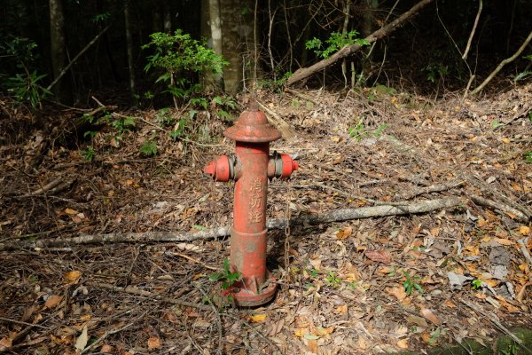 苗栗泰安 | 雪見‧初探北坑溪古道2700058