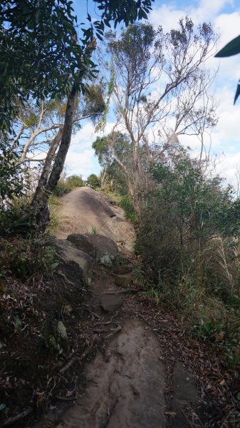 打鐵寮 草嶺山 石龜坑山 白石山連走1265277