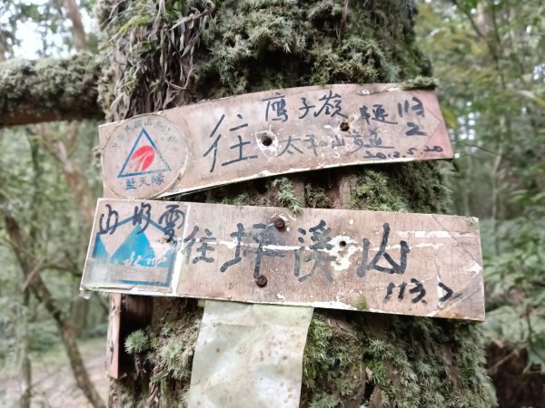 雙溪區石龜福德廟+坪溪古道+梗枋古道+叢雲山+叢雲山北峰+宜1縣縣界O型3019494