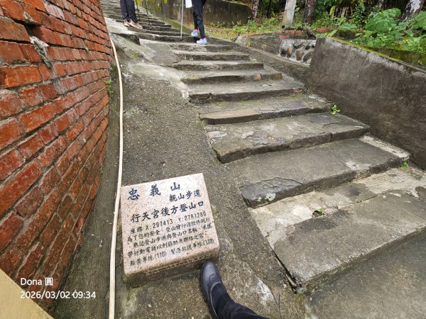 20260302忠義山.小坪頂山.貴子坑山大O走3009791