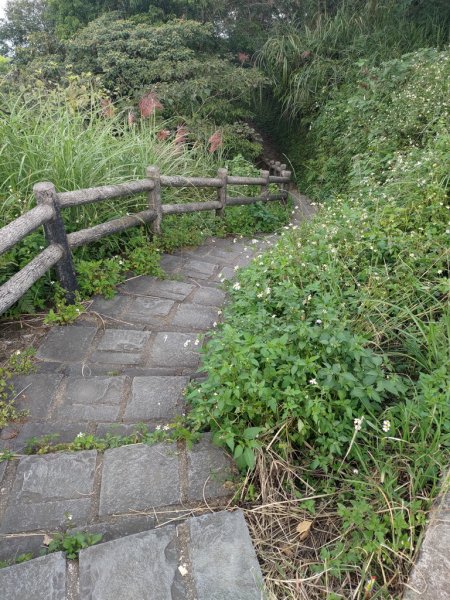 【新竹縣橫山鄉】大崎棟步道2833212