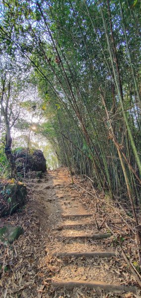 2023-03-12馬那邦山登山步道2065830