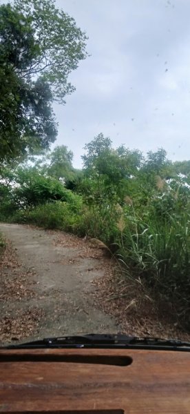 2025 4/5 加奈美山2754460