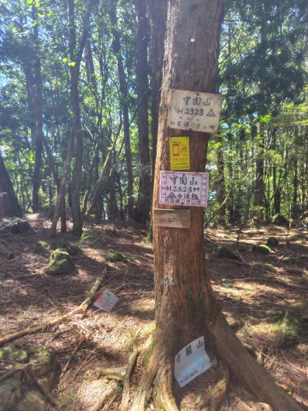 守關山南峰 守關山 守城大山2919154