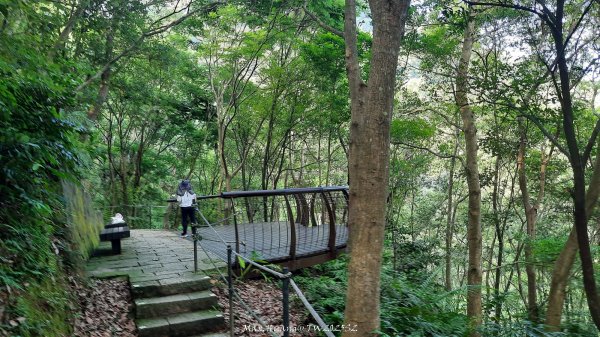 《台北》城市晨運｜虎山親山自然步道（松山慈惠堂）202505222795765