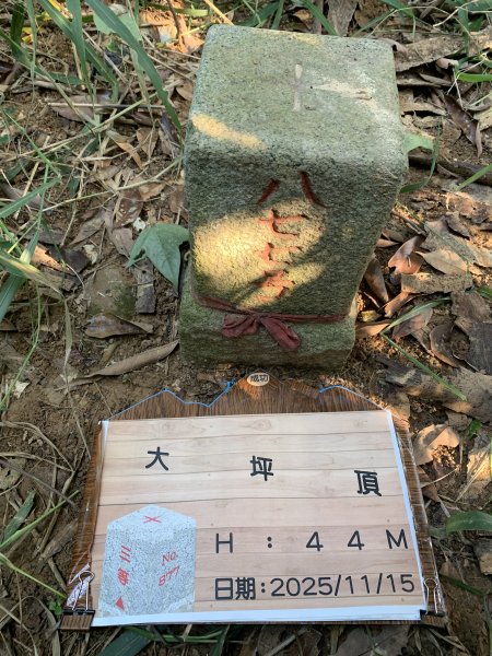 20251115高雄大坪頂2938122