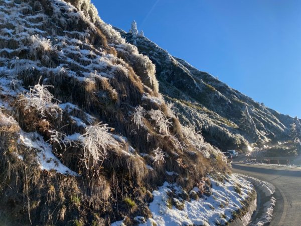 合歡山賞雪一日遊1254371