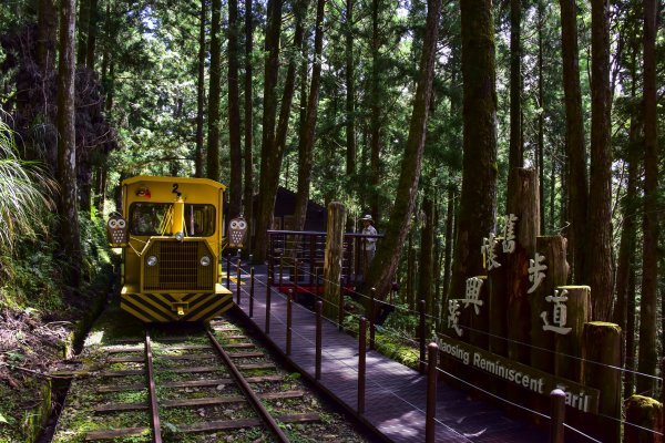 【新聞】太平山增加平日客運專車 108年7月15日首發上路