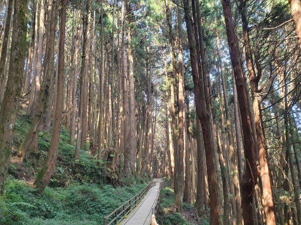 特富野古道1303991