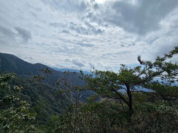 鳶嘴山+稍來神木2709854