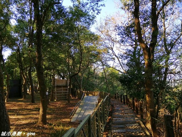 台中~漸層落羽松繽紛山行路~挑物古道 1246854